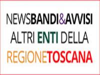 Bandi di Concorso, Selezioni, Avvisi