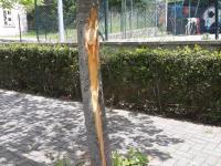 Danneggiamenti e atti vandalici al parco comunale