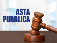 Avviso di asta pubblica per l'alienazione di terreni comunali – Due lotti distinti