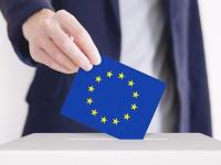 Risultati Elezioni Europee 2024 nel Comune di Castellina Marittima