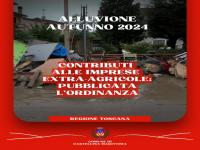 Alluvione autunno 2024 - Contributi alle imprese extra-agricole