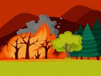 Prevenzione Incendi - Pulizia Terreni Agricoli 
