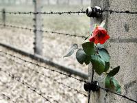 Una riflessione del Sindaco sulla giornata della Memoria