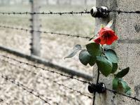Una riflessione del Sindaco sulla giornata della Memoria
