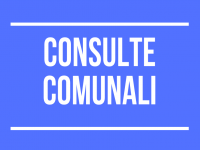 Riapertura Presentazione Candidature per Consulte Comunali 