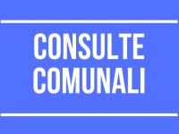 Riapertura Presentazione Candidature per Consulte Comunali